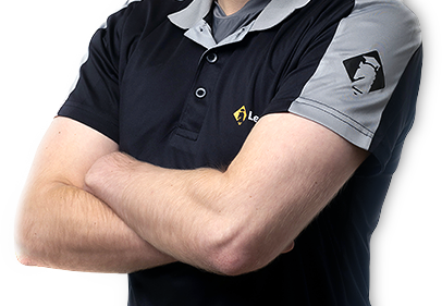 About LearnChess