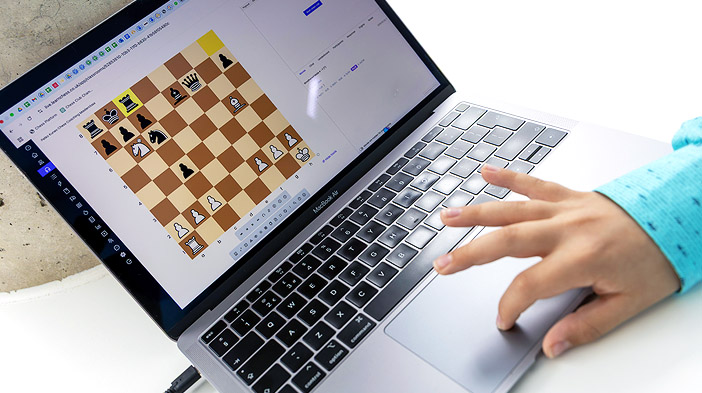 Online Chess Training